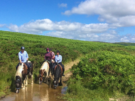 Welsh Border 4 Day Trail